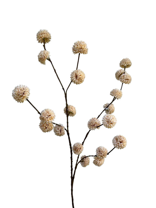 Pom-Pom takken