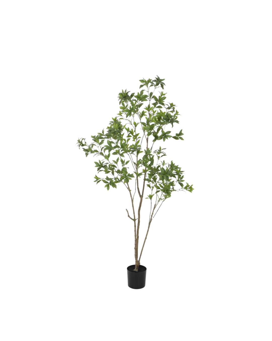 Kunstplant - Japonica Tree 210cm