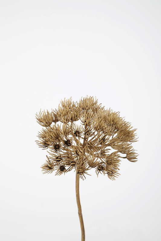 Kunsttak hogweed 78 cm