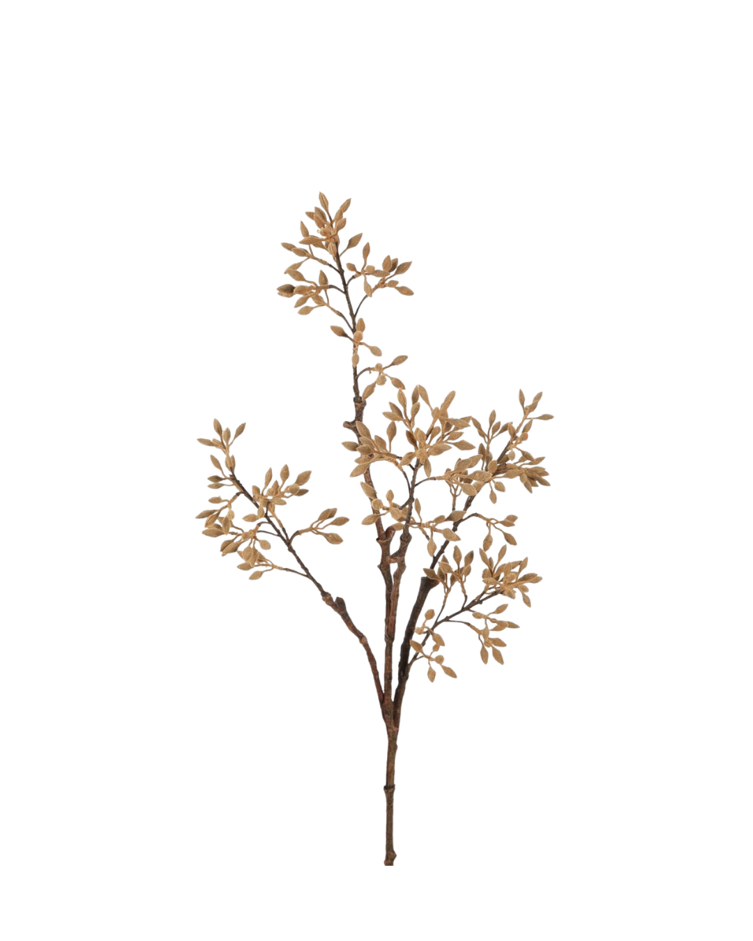 Wutong spray | 89  cm