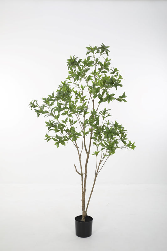 Kunstplant - Japonica Tree 210cm