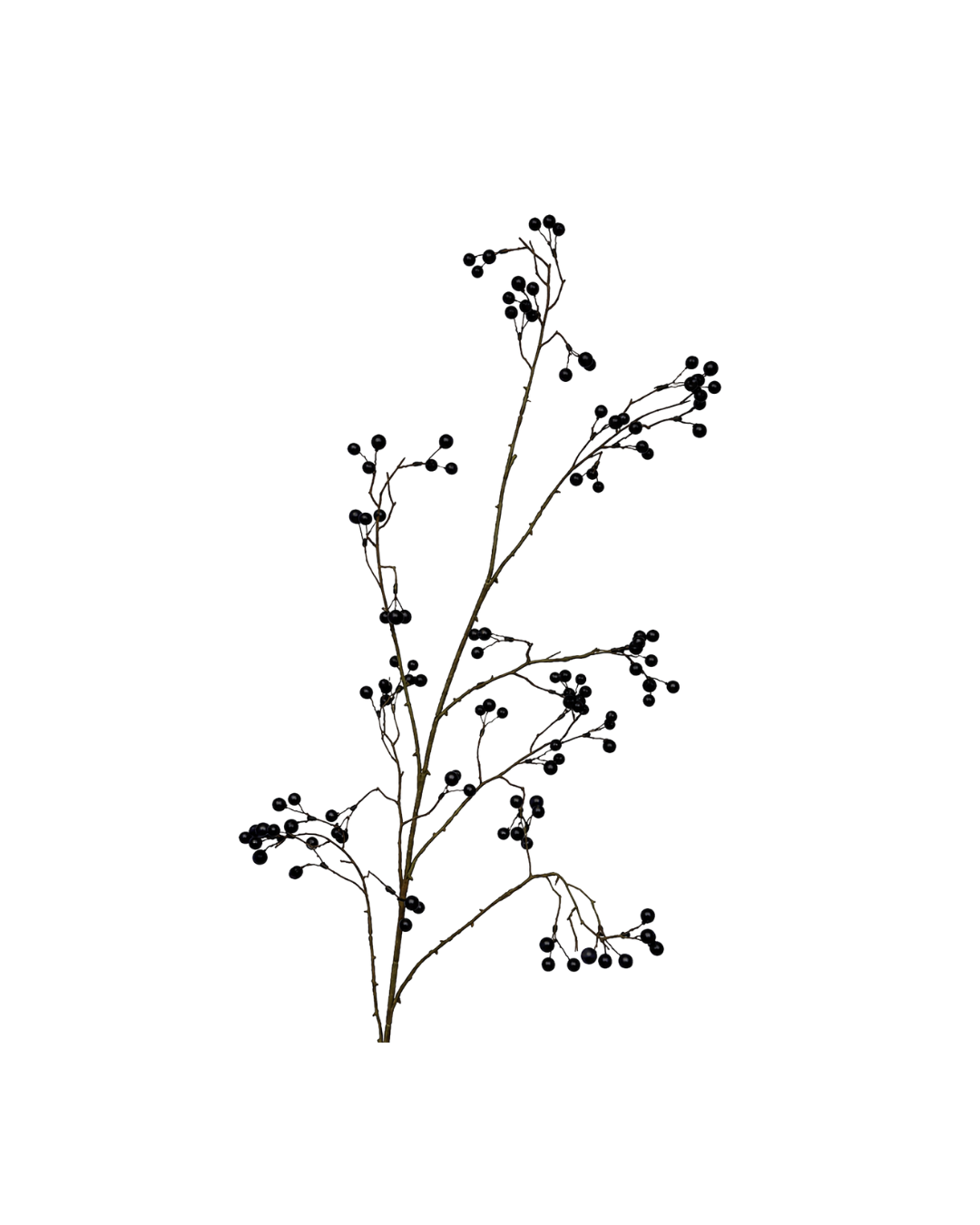 Berry trident bruin | 120 cm