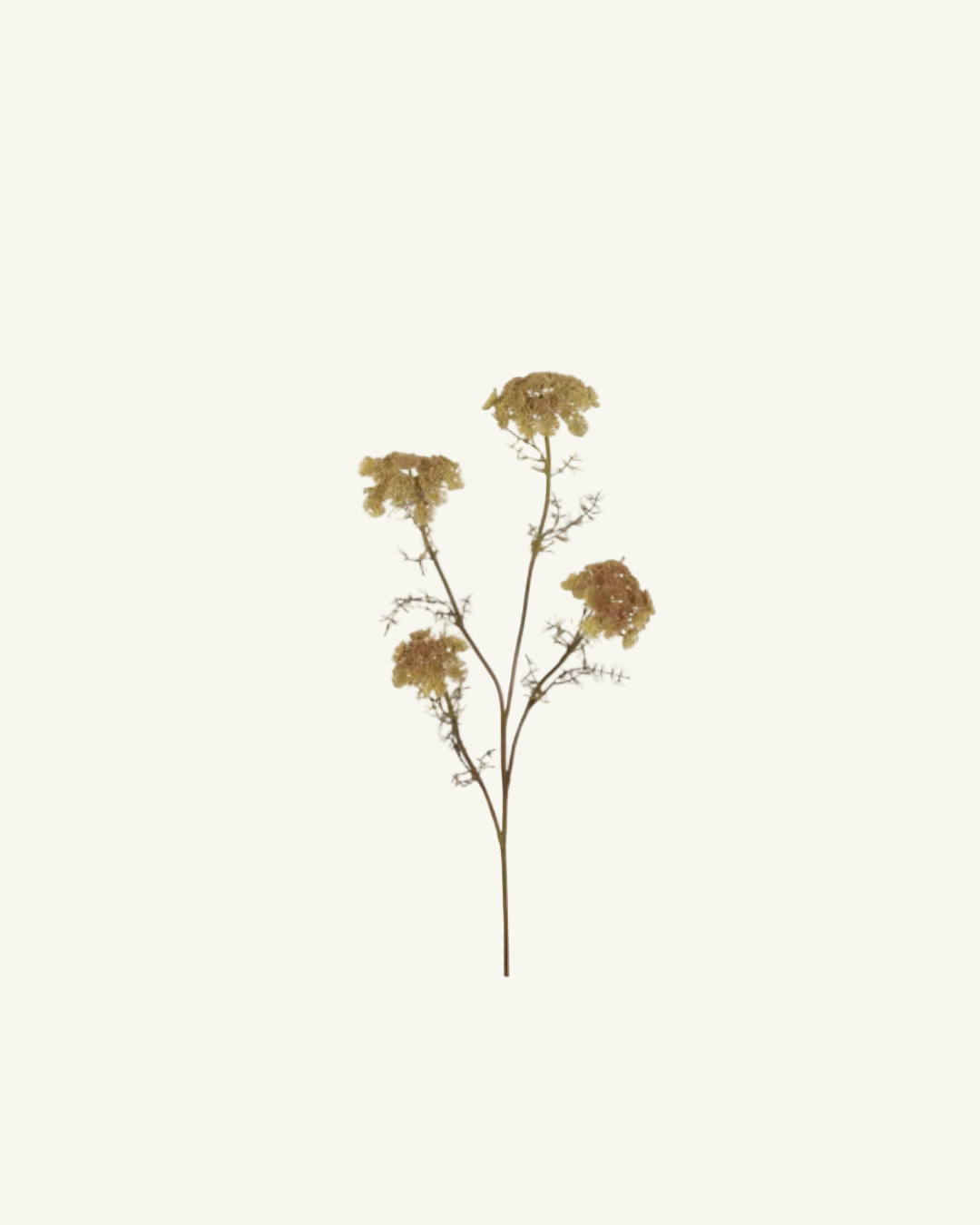 Kunsttak - Queen Anne's Lace 87cm
