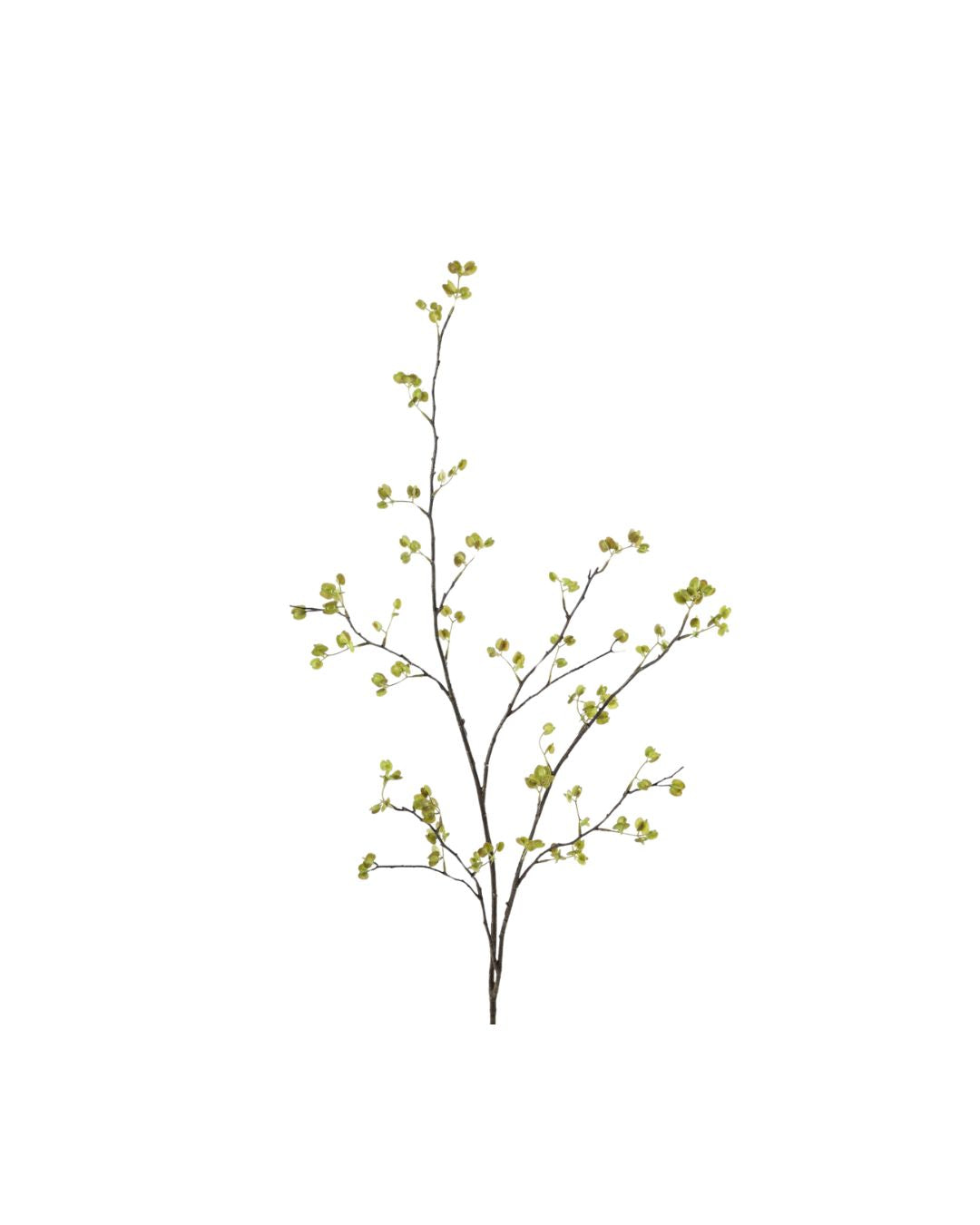 Kunsttak - Elm seed spray 132 cm