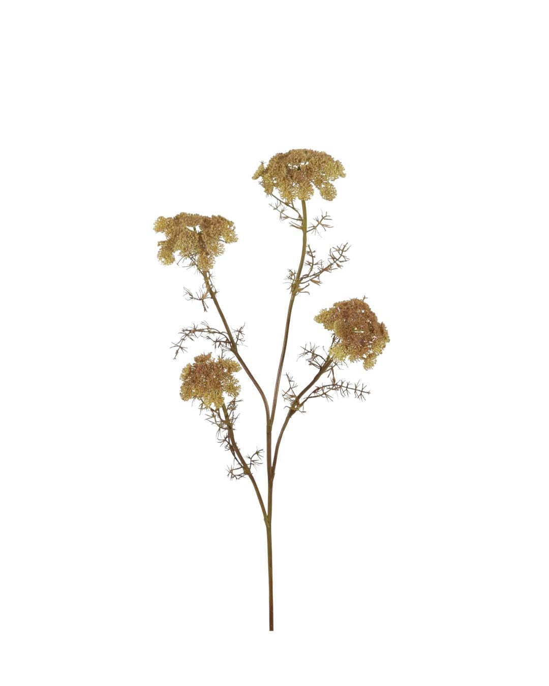 Kunsttak - Queen Anne's Lace 87cm